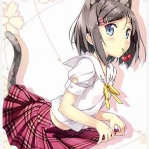 Meet your Posher, Bob